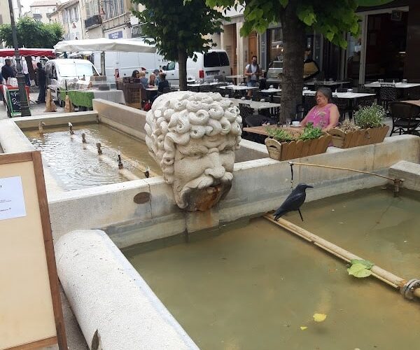 Restaurant Les Palmiers – Rhumerie & Tapas à Carpentras, France