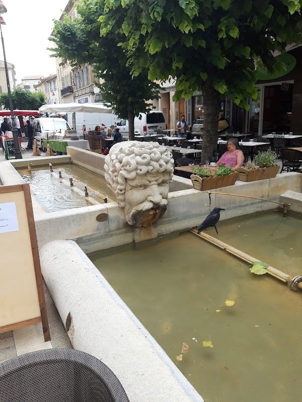 Restaurant Les Palmiers – Rhumerie & Tapas à Carpentras, France