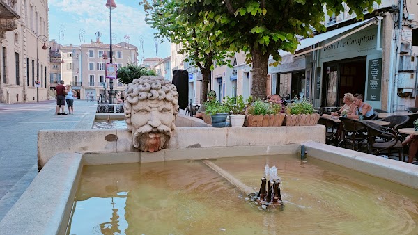 Restaurant Les Palmiers – Rhumerie & Tapas à Carpentras, France