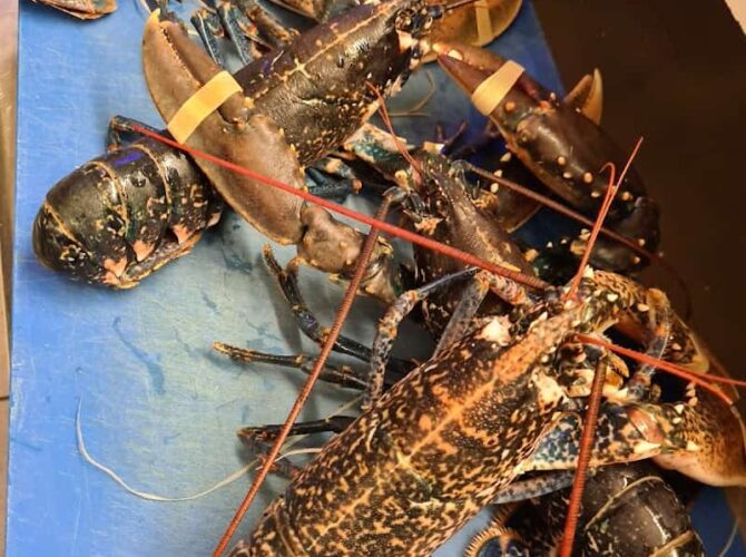 Restaurant L’estaminet à Bouillac à Bouillac, France