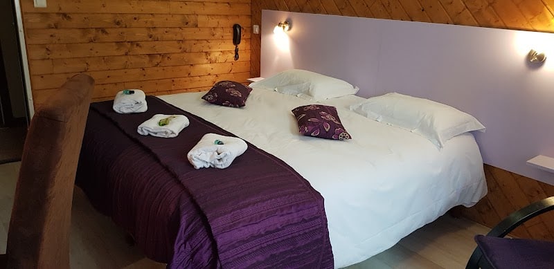 Logis Hôtel Restaurant les Carillons à Cransac, France