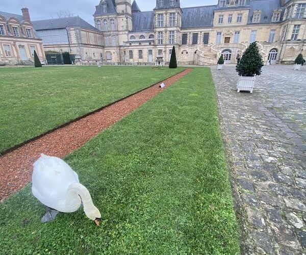 MONUMENT CAFE FONTAINEBLEAU- RESTAURANT DU CHATEAU DE FONTAINEBLEAU à Fontainebleau, France
