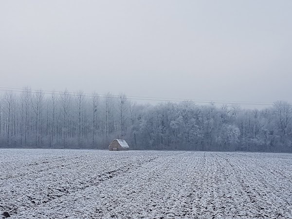 Restaurant au Tramway à Erstein, France