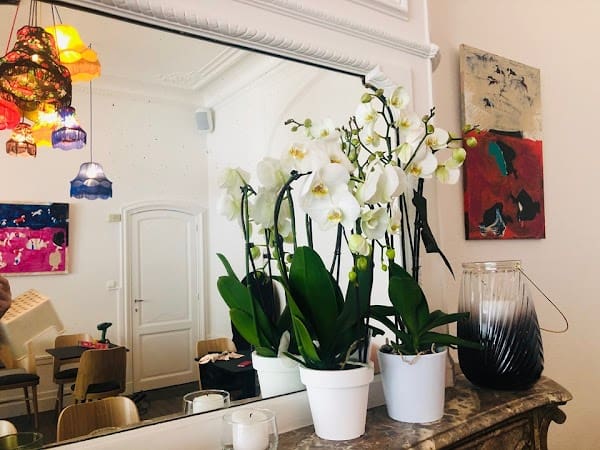 Restaurant | Bota Jardin en ville à Liège, Belgique