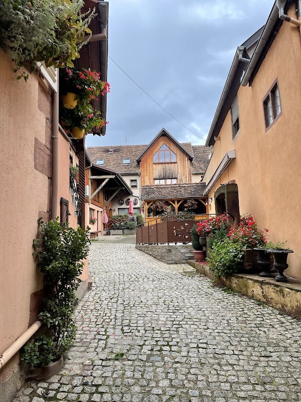 Restaurant d’hôtes Au Raisin d’Or à Mittelbergheim, France