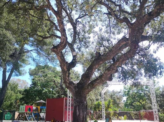 Restaurant du Camping à La Londe-les-Maures, France