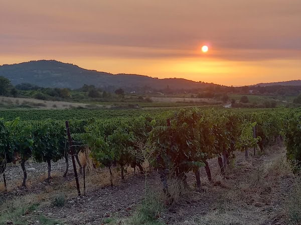 Restaurant La Ferme Du Pezet à Villes-sur-Auzon, France