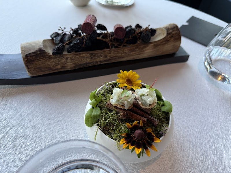 Restaurant La Grand’Vigne – Les Sources de Caudalie à Martillac, France