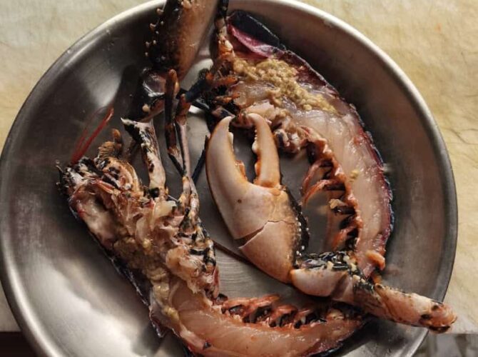 Restaurant Le Bonaparte à Cassis, France