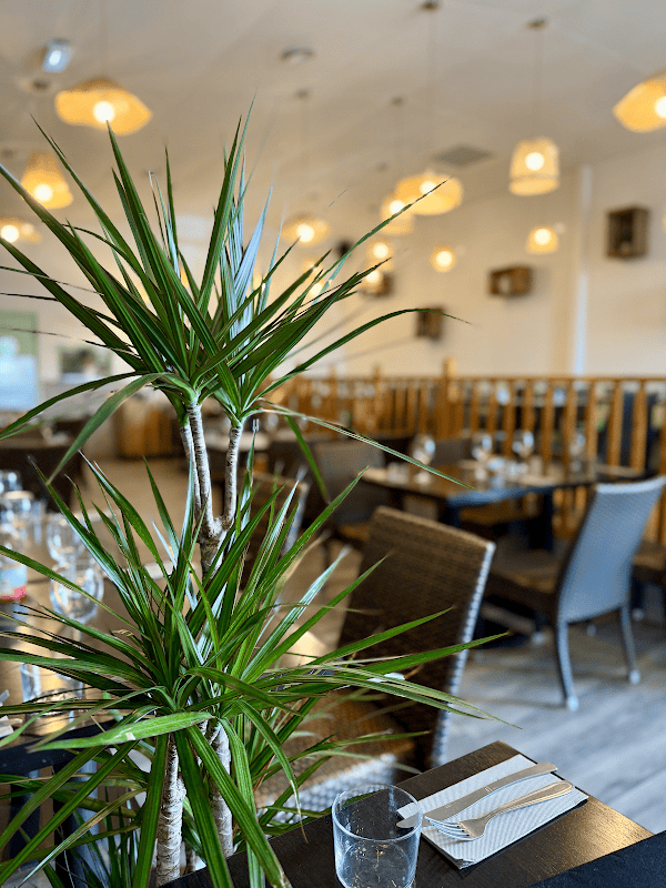 Restaurant Le Forest Le Crès près de Montpellier à Le Crès, France