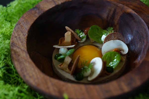 Restaurant L’Herboriste à Castelmoron-sur-Lot, France
