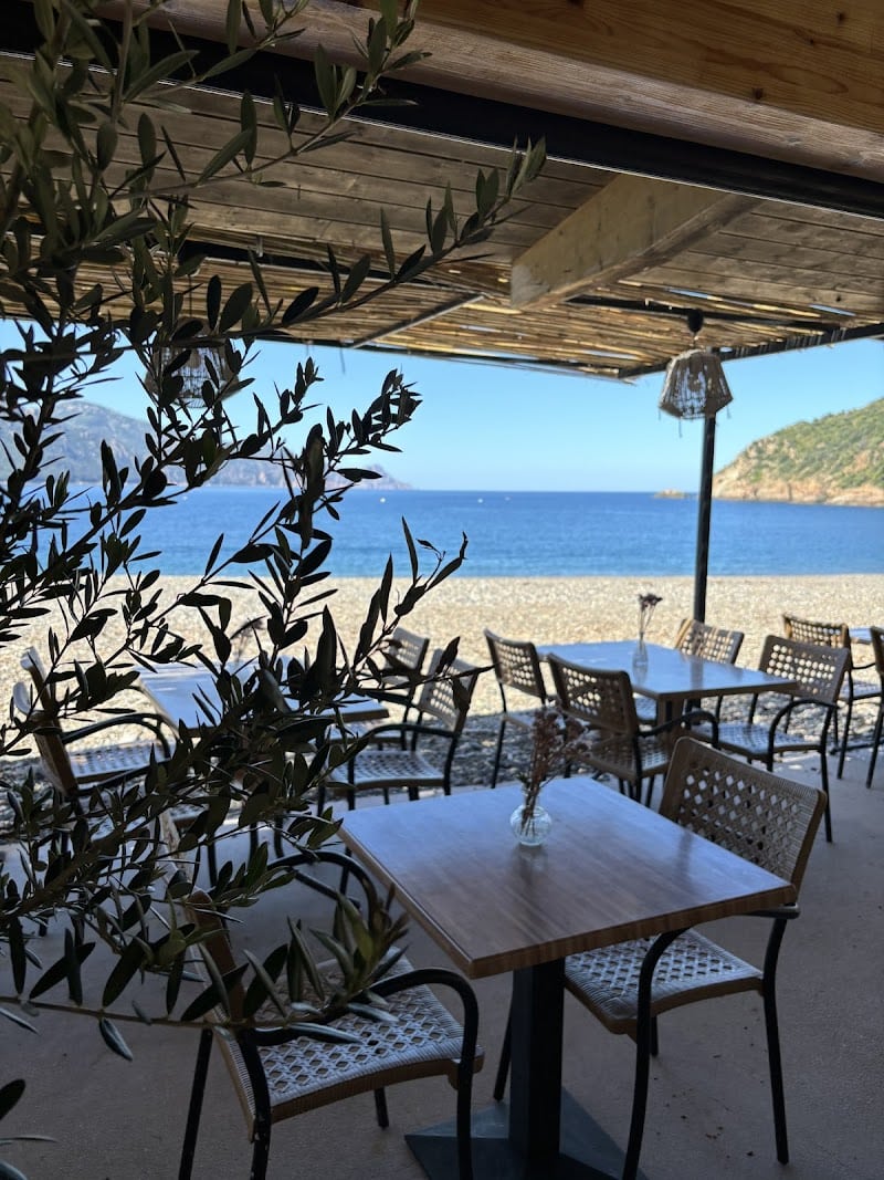 Restaurant Mare Chiare à Serriera, France