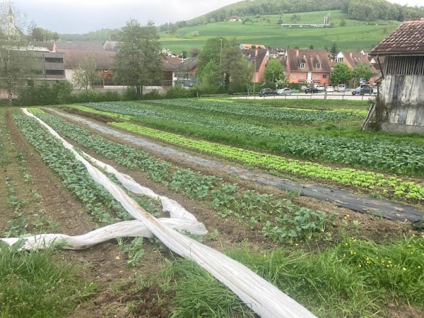 Restaurant Murano à Basel, Suisse