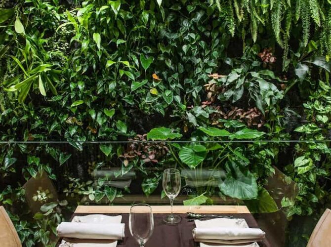 Restaurante Terraza De La O | Alta Cocina Andaluza en Sevilla à Sevilla, Espagne