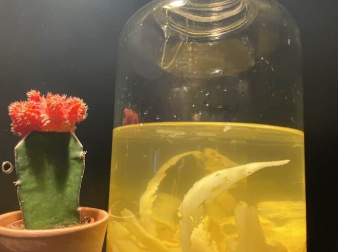 Restaurant Tavola Calda à Saint-Jean-de-Luz, France