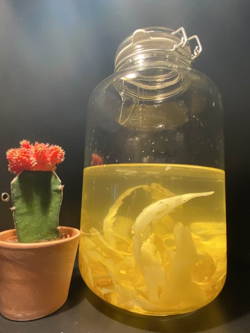 Restaurant Tavola Calda à Saint-Jean-de-Luz, France