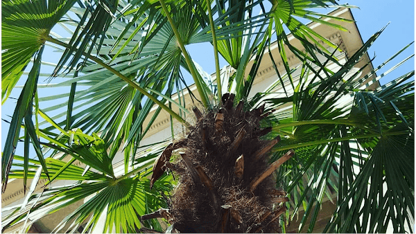 Restaurant Terrazza à Stuttgart, Allemagne