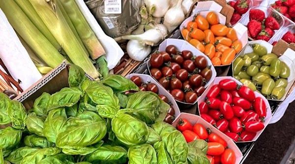 Restaurant Trattoria Della Stampa à Rome, Italie