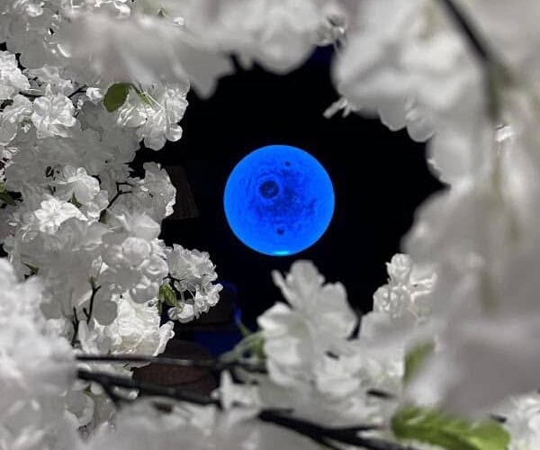 Restaurant Yushi Sushi à Guéret, France