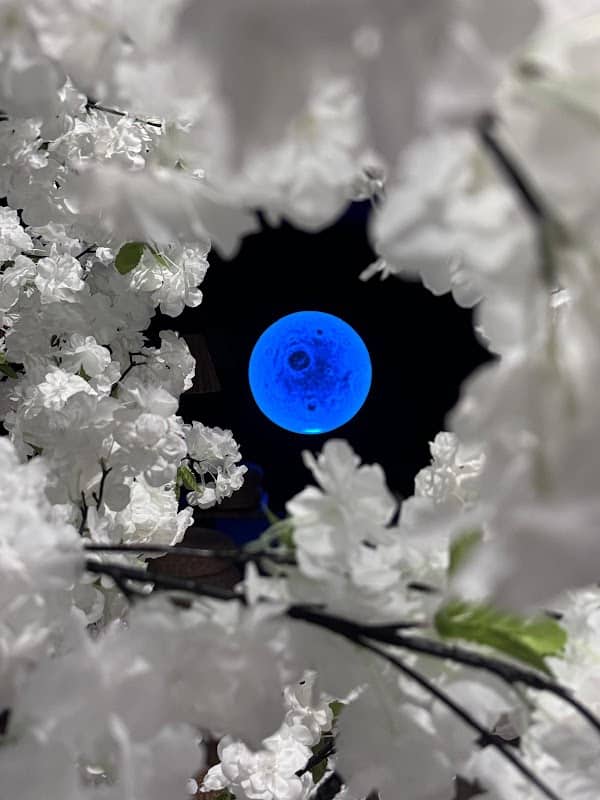 Restaurant Yushi Sushi à Guéret, France