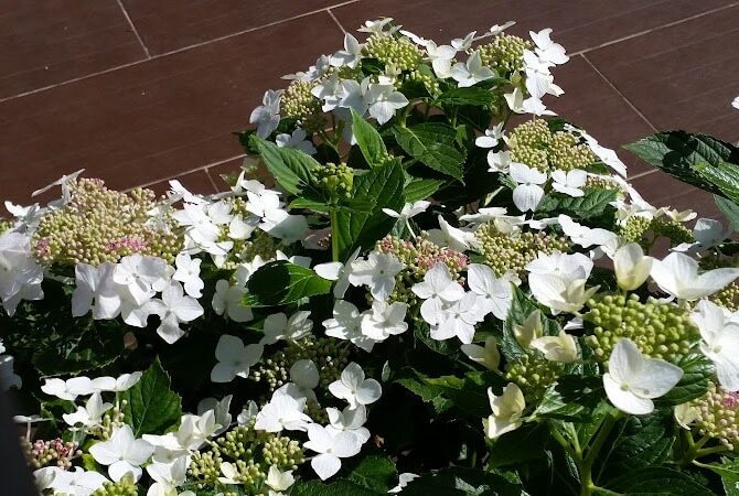 Restaurant 24i à Gonesse, France