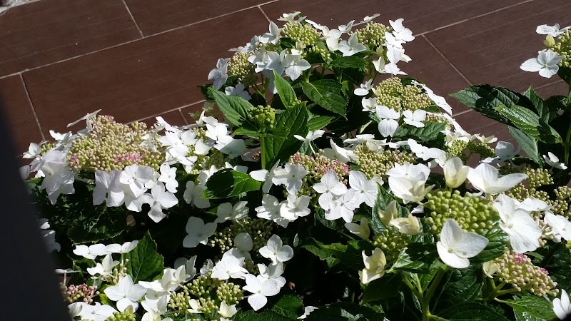 Restaurant 24i à Gonesse, France