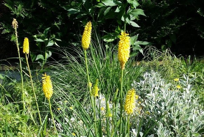 Restaurant 24i à Gonesse, France