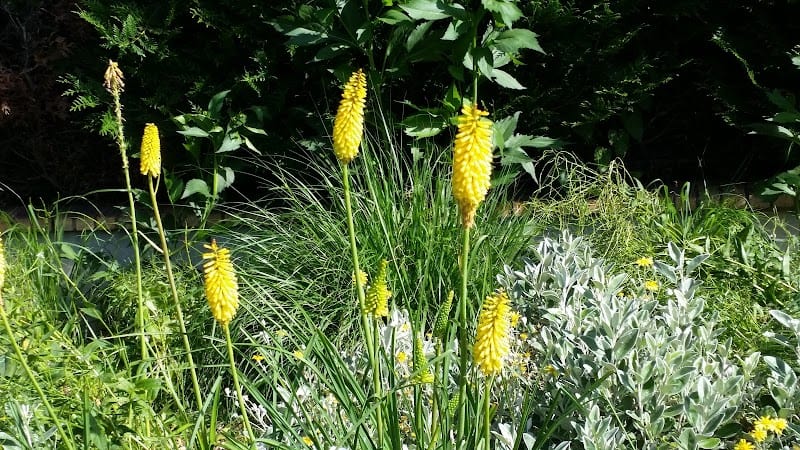 Restaurant 24i à Gonesse, France