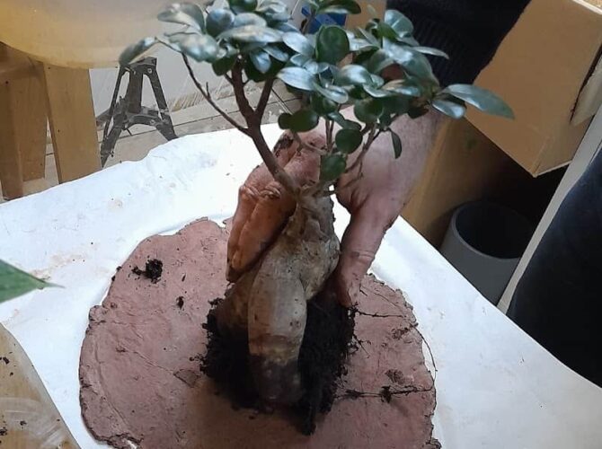 Restaurant Atout Végétal à Éragny, France