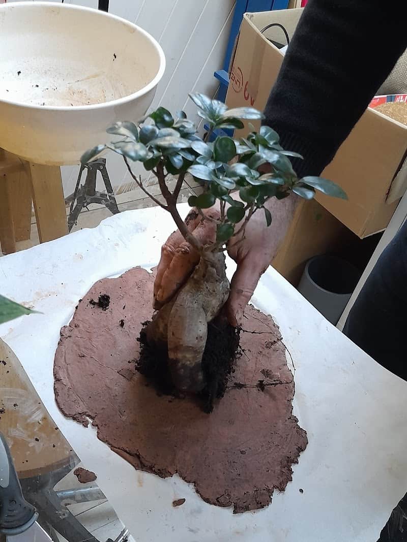 Restaurant Atout Végétal à Éragny, France