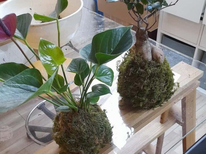 Restaurant Atout Végétal à Éragny, France