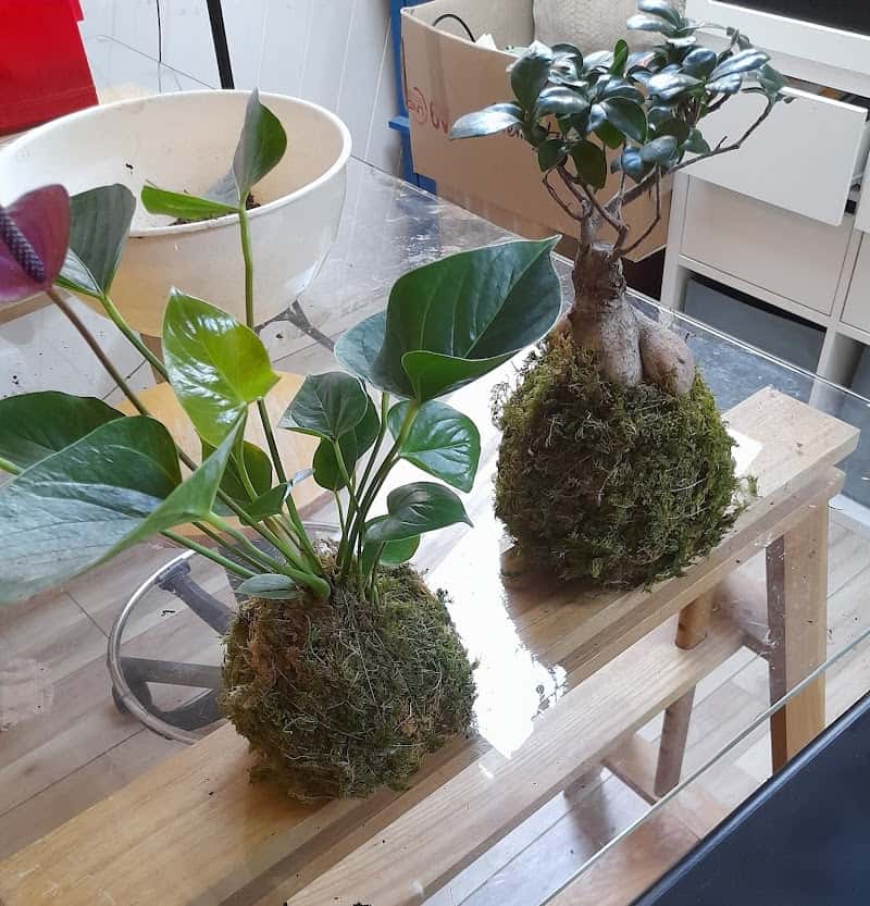 Restaurant Atout Végétal à Éragny, France