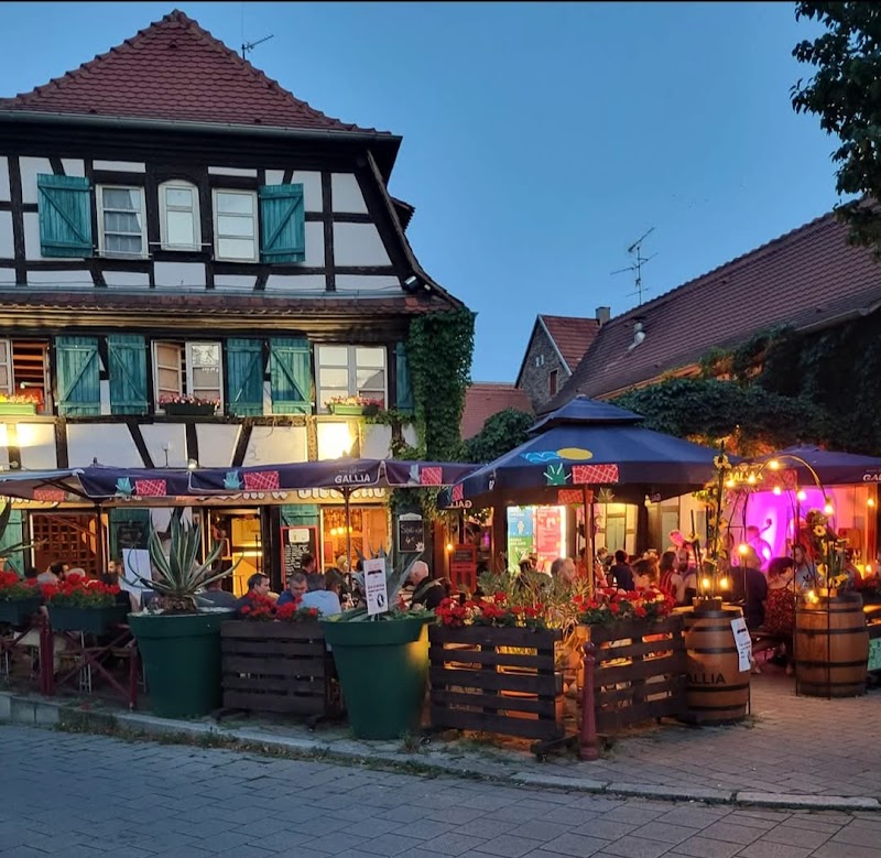 Restaurant AU CHEVAL BLANC Win & Bierstub Atypique à Schiltigheim, France