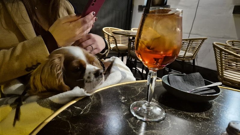 Restaurant Brasserie Mavue à Mechelen (Malines), Belgique