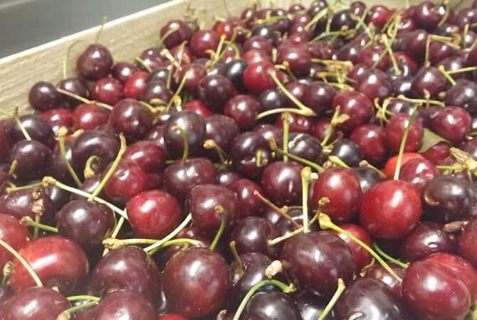 Restaurant Caracole à Colombes, France