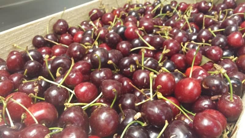 Restaurant Caracole à Colombes, France