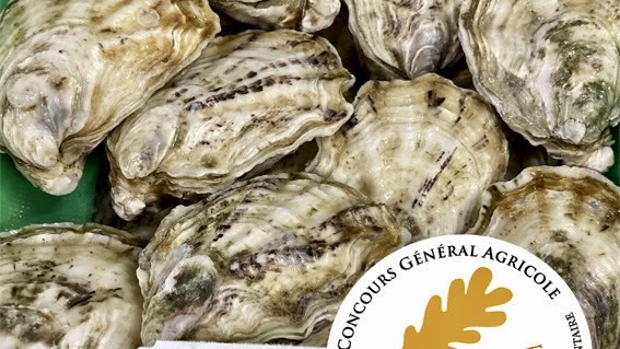 Restaurant Coqui Thau à Marseillan, France