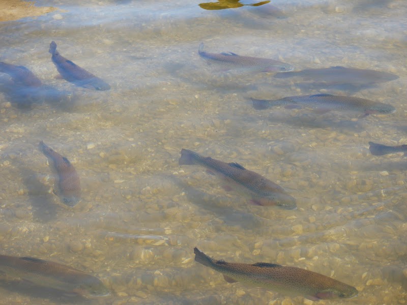 Restaurant Domaine de l’Ecart à Lacroix-sur-Meuse, France