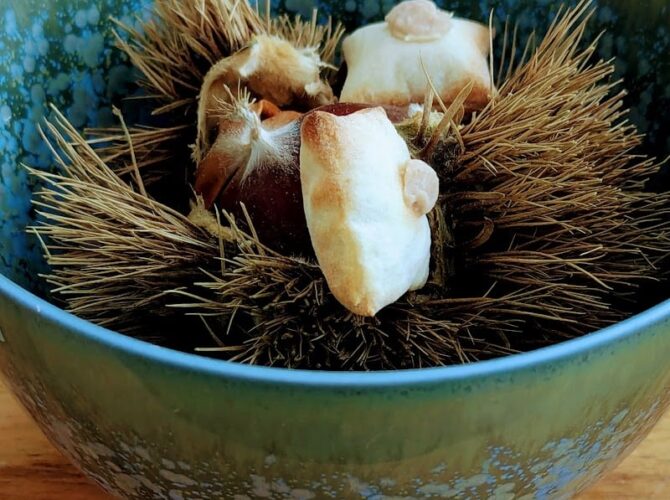 Restaurant Domaine LE VERBOIS à Saint-Maximin, France