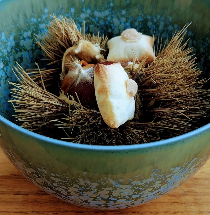 Restaurant Domaine LE VERBOIS à Saint-Maximin, France