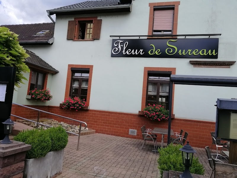 Restaurant Fleur de Sureau à Gambsheim, France
