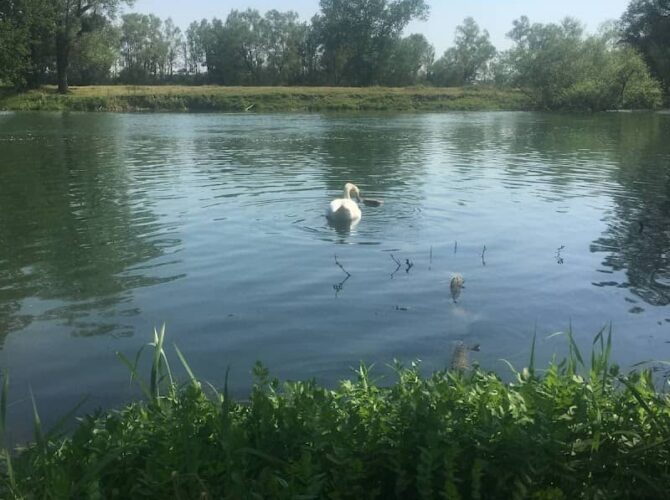 Restaurant Hôtel La Table Des Bons Pères à Bislée, France