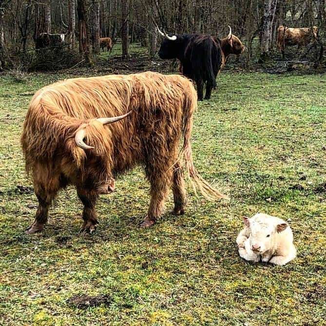Restaurant La Ferme du Marais à Ceyzérieu, France