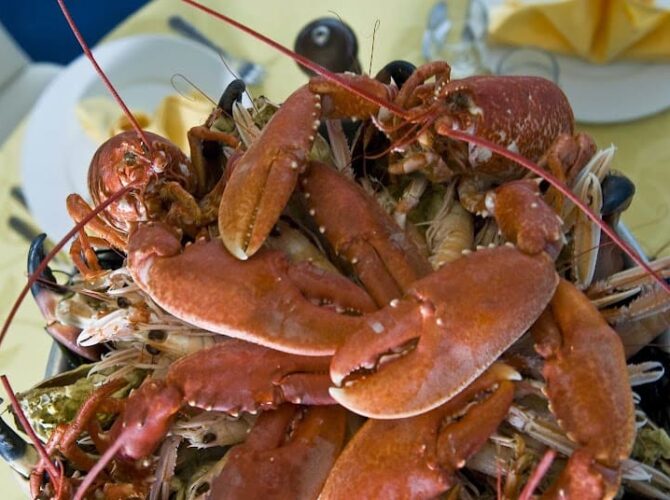 Restaurant La Maison de l’Océan à Brest, France