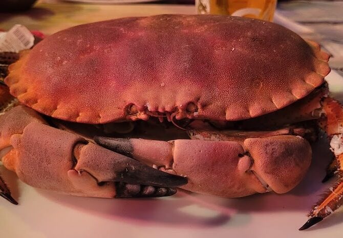 Restaurant Le Crabe Marteau à Brest, France