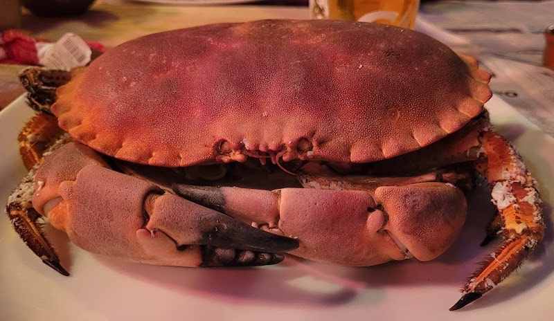 Restaurant Le Crabe Marteau à Brest, France