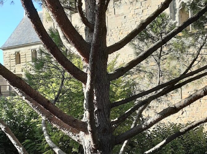 Restaurant Le Jardin de la Tour à Carcassonne, France