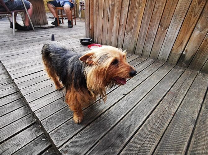 Restaurant Le Point Routier à Bordeaux, France