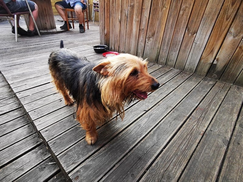 Restaurant Le Point Routier à Bordeaux, France