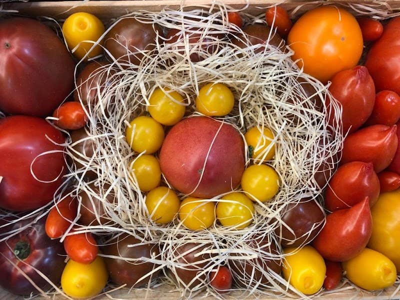 Restaurant Les Cèdres du Liban à Palavas-les-Flots, France